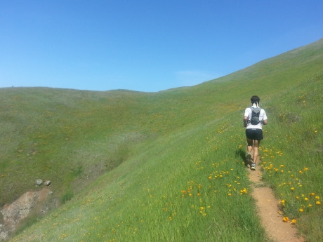 David and the wildflowers on the Coastal Trail.